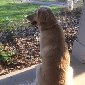 57852635_10214752942242581_8366936110420459520_o