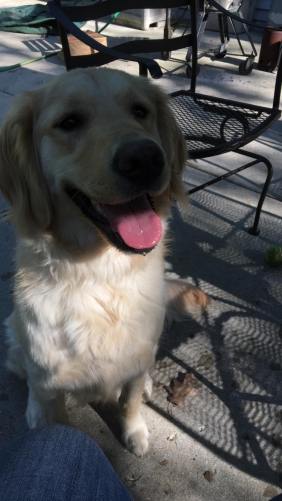 61232007_10214955768793118_7262156692371013632_o