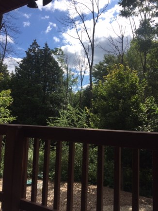 F3236CCF-36CD-4771-A162-482261DE4903